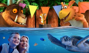 Accesso Ticket Decoy Images